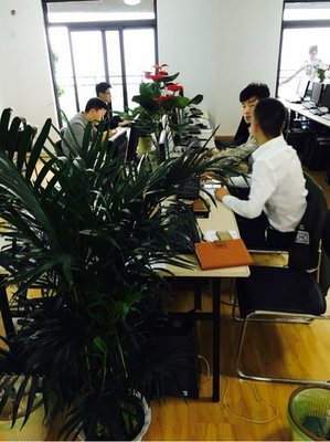 武漢金誠匯譽商務信息咨詢 專業(yè)服務助力企業(yè)發(fā)展